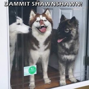 Meet your Posher, Shawn